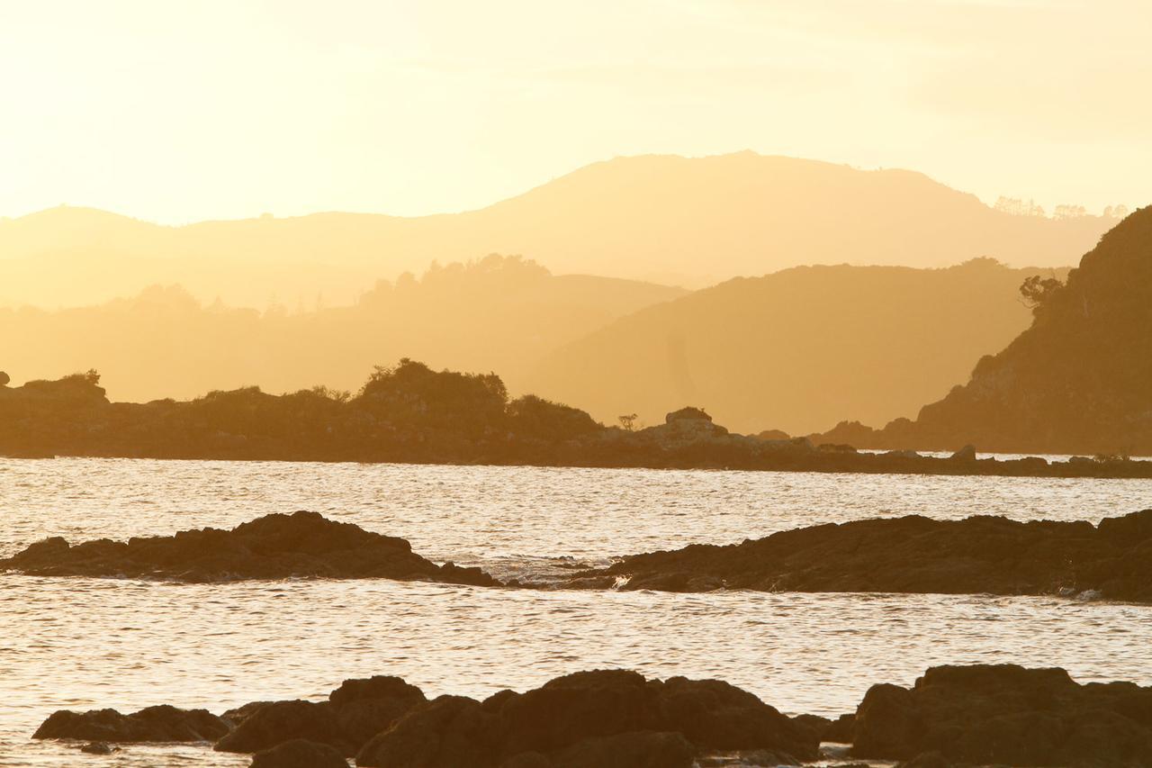 Driftwood Lodge Beachfront, Cable Bay, Northland Coopers Beach Exterior foto